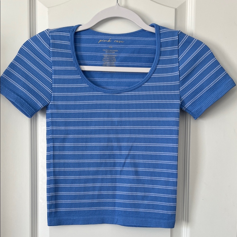 Pink Rose Blue and White Striped Knit Top